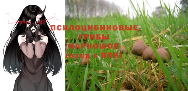 прущие крисы Балабаново
