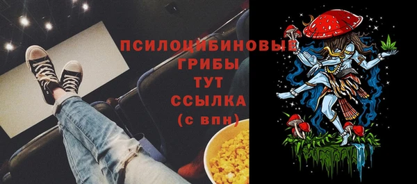 хмурый Балахна