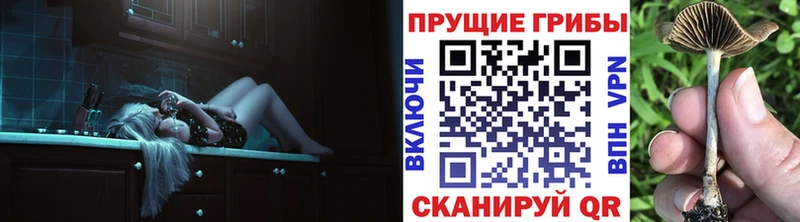 KRAKEN ссылка  сколько стоит  Заречный  Псилоцибиновые грибы прущие грибы 
