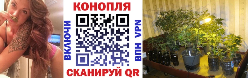 закладка  Заречный  мориарти состав  МАРИХУАНА гибрид 